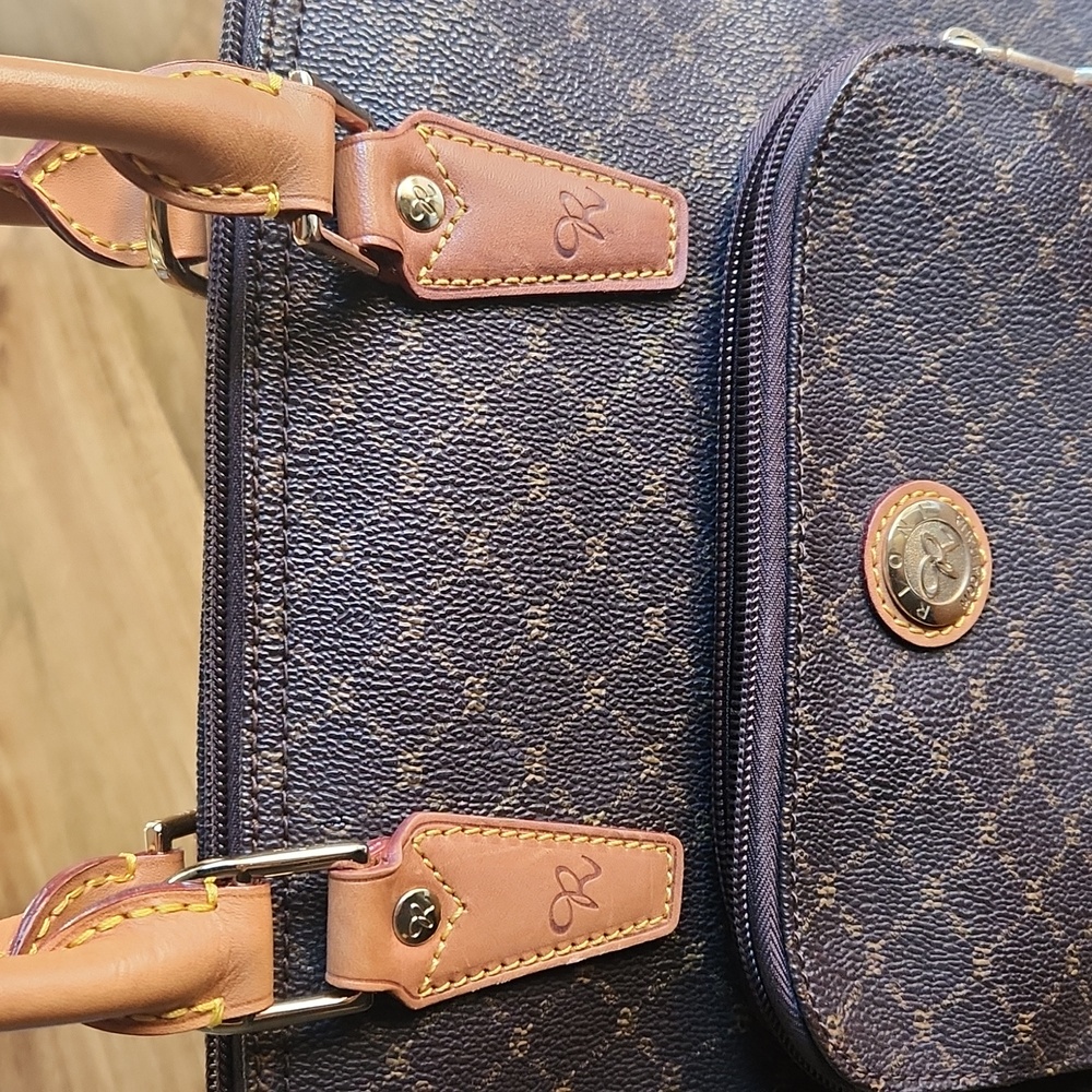 {RIONI} Moda Italia Signature Dome Brown Handle Bag - Picture 3 of 16